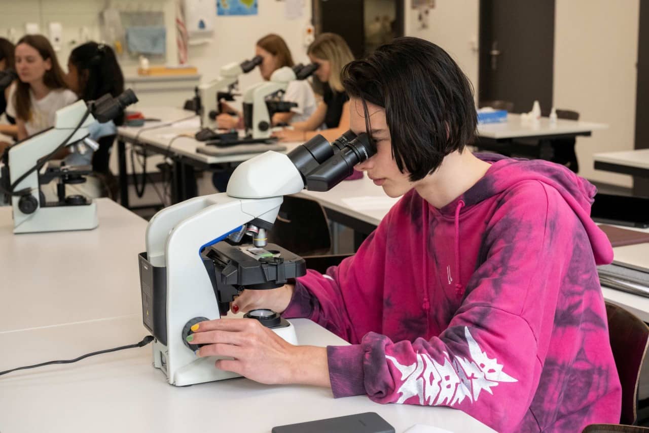 Zwei Schülerinnen und ein Schüler schauen ins Mikroskop