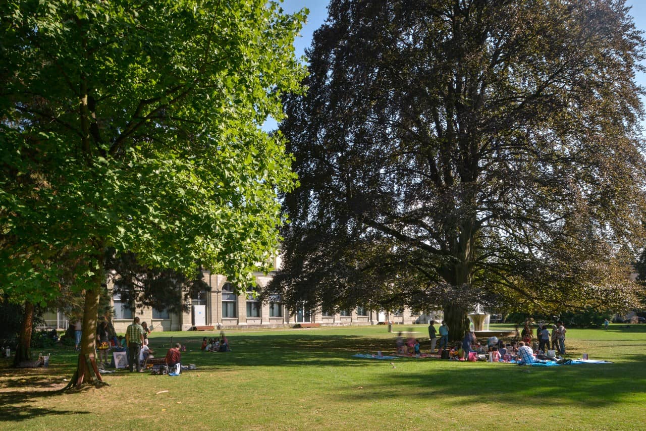 Gruppen von Menschen, die sich im Schatten grosser Bäume in einem Park erholen.