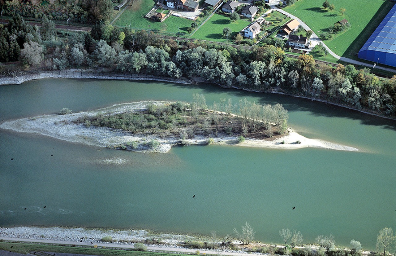 Luftaufnahme der Insel Bernau mit der für Aueninseln typischen länglichen Form.
