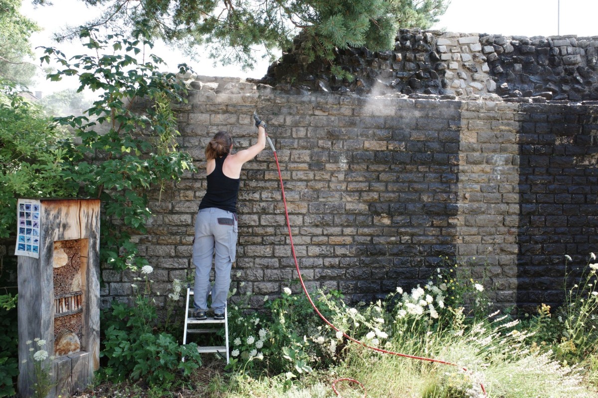 Frau reinigt die Mauer auf einer Leiter. 