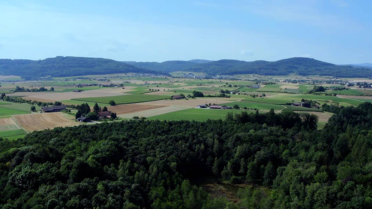 Möhlinerfeld auf einer Luftbildfoto mit darüber gelagerten grünen Feldern, die die Fundstellen markieren.