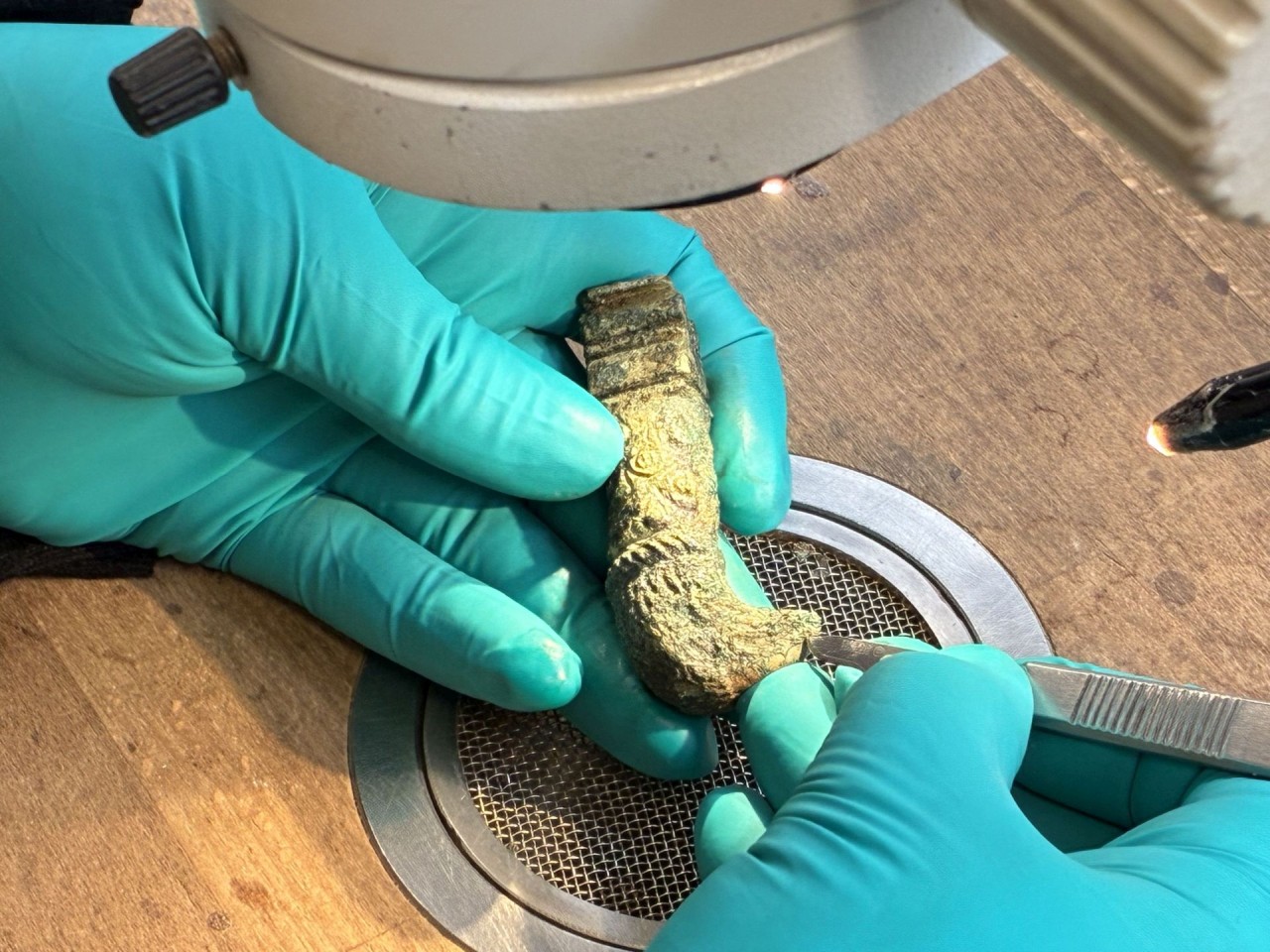 Zwei Hände in blauen Latexhandschuhen halten ein archäologisches Fundstück unter einem Mikroskop, während eine Pinzette zur Freilegung verwendet wird.