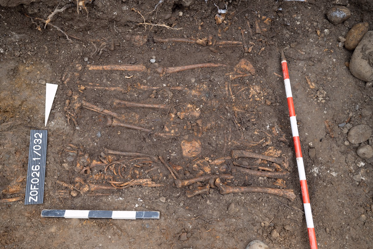 Mehrere Skelette liegen freigelegt übereinander.