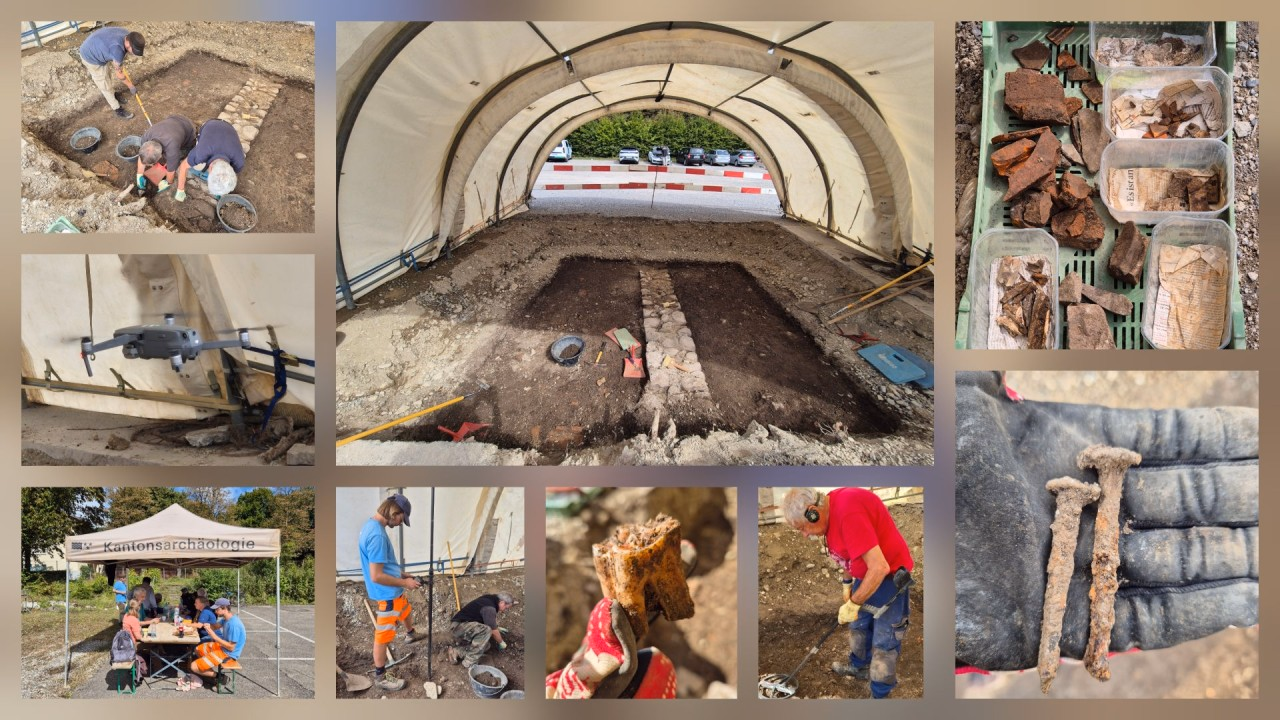 Bildcollage mit Eindrücken des Feldkurses.
