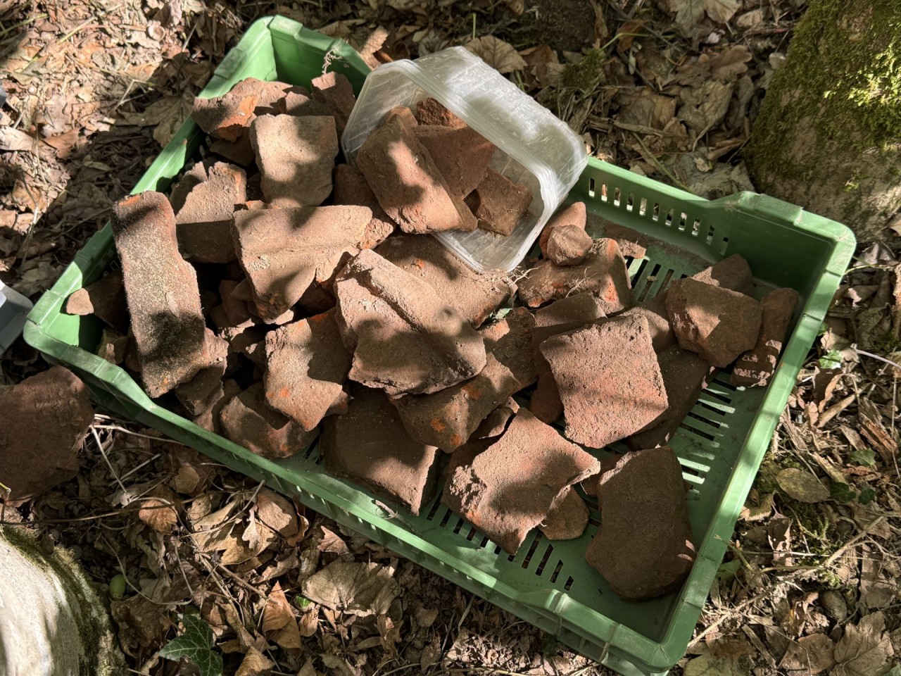 Grüne Plastikkiste mit zahlreichen Fragmenten rötlicher Ziegel auf Waldboden, daneben eine durchsichtige Kunststoffbox.