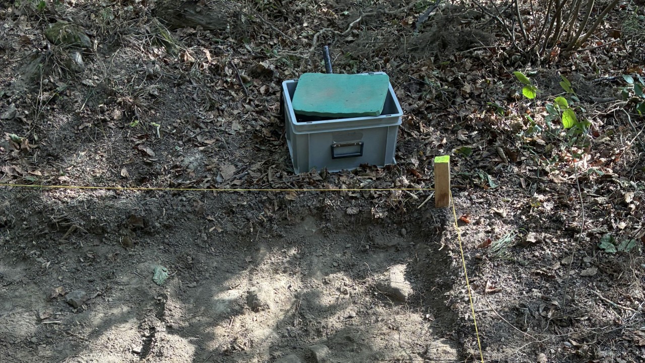 Eine Box mit grünem Deckel steht im Wald auf dem Boden, umgeben von Blättern. Davor verlaufen gespannte gelbe Schnüre, die den Bereich begrenzen. Ein Holzpflock steht rechts neben der Box.