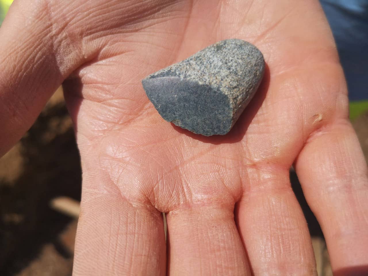 eine kleine geschliffene STeinbeilklinge auf einer Handfläche.