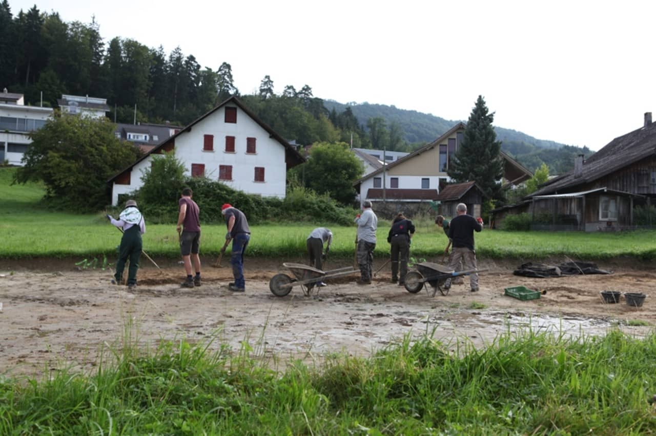 Sieben Freiwillige am Ausgraben. 