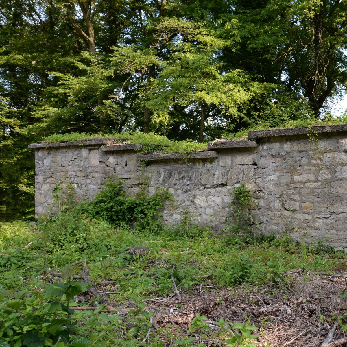 Römischer Wachturm mit Pflanzen überwachsen.