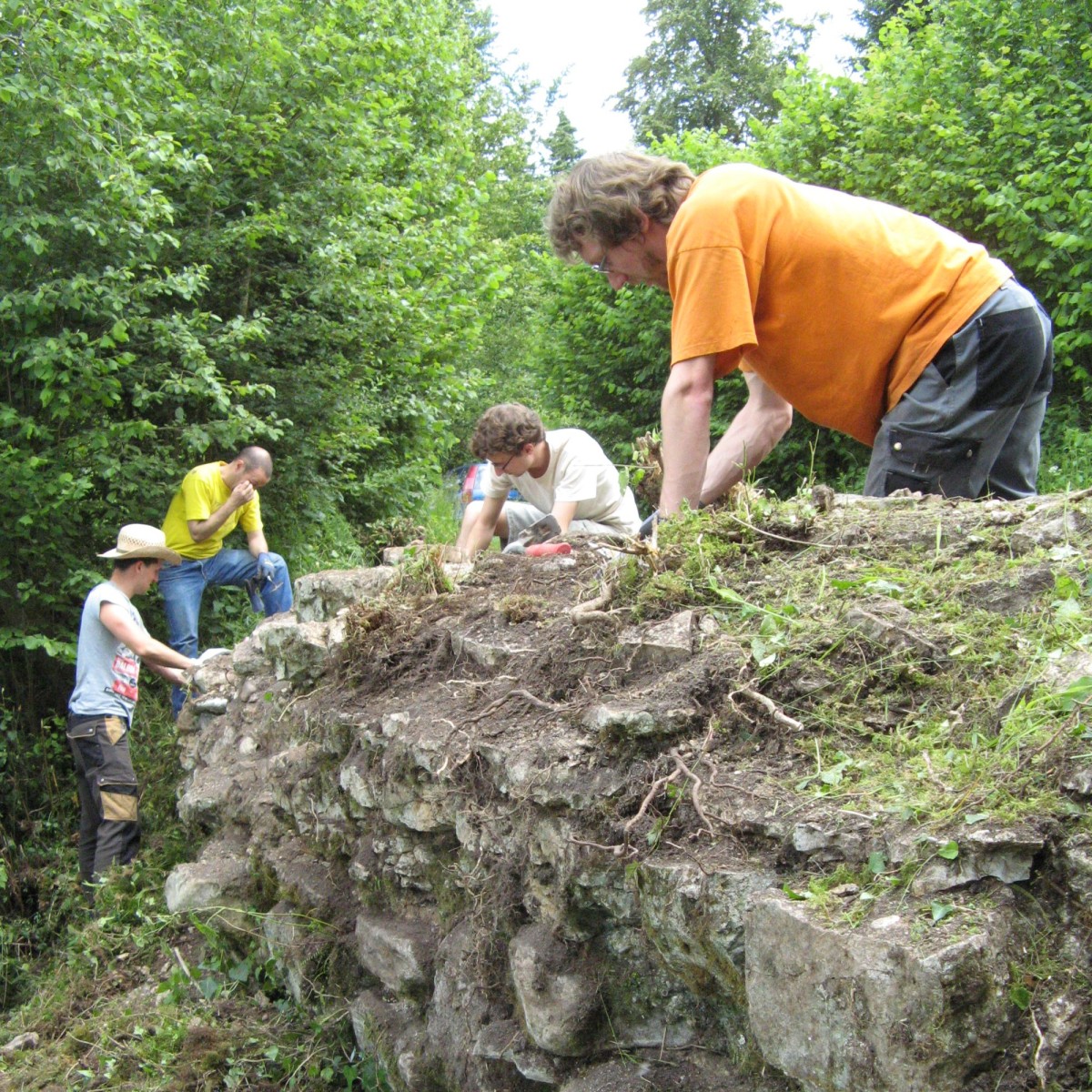 Studierende befreien das römische Mauerwerk von Pflanzenbewuchs.