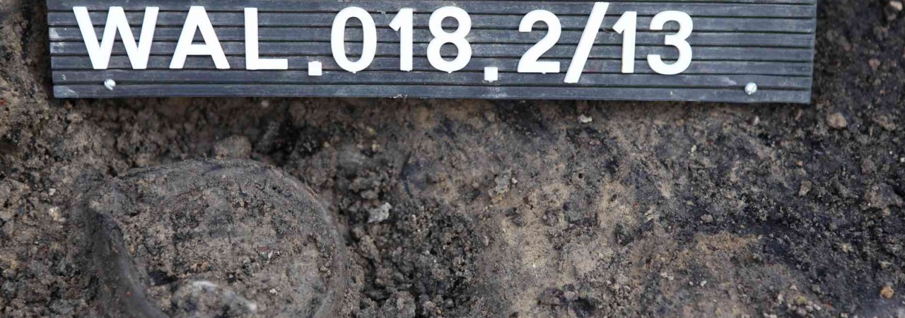 Ein frisch freigelegtes Gefässfragment im Erdboden.