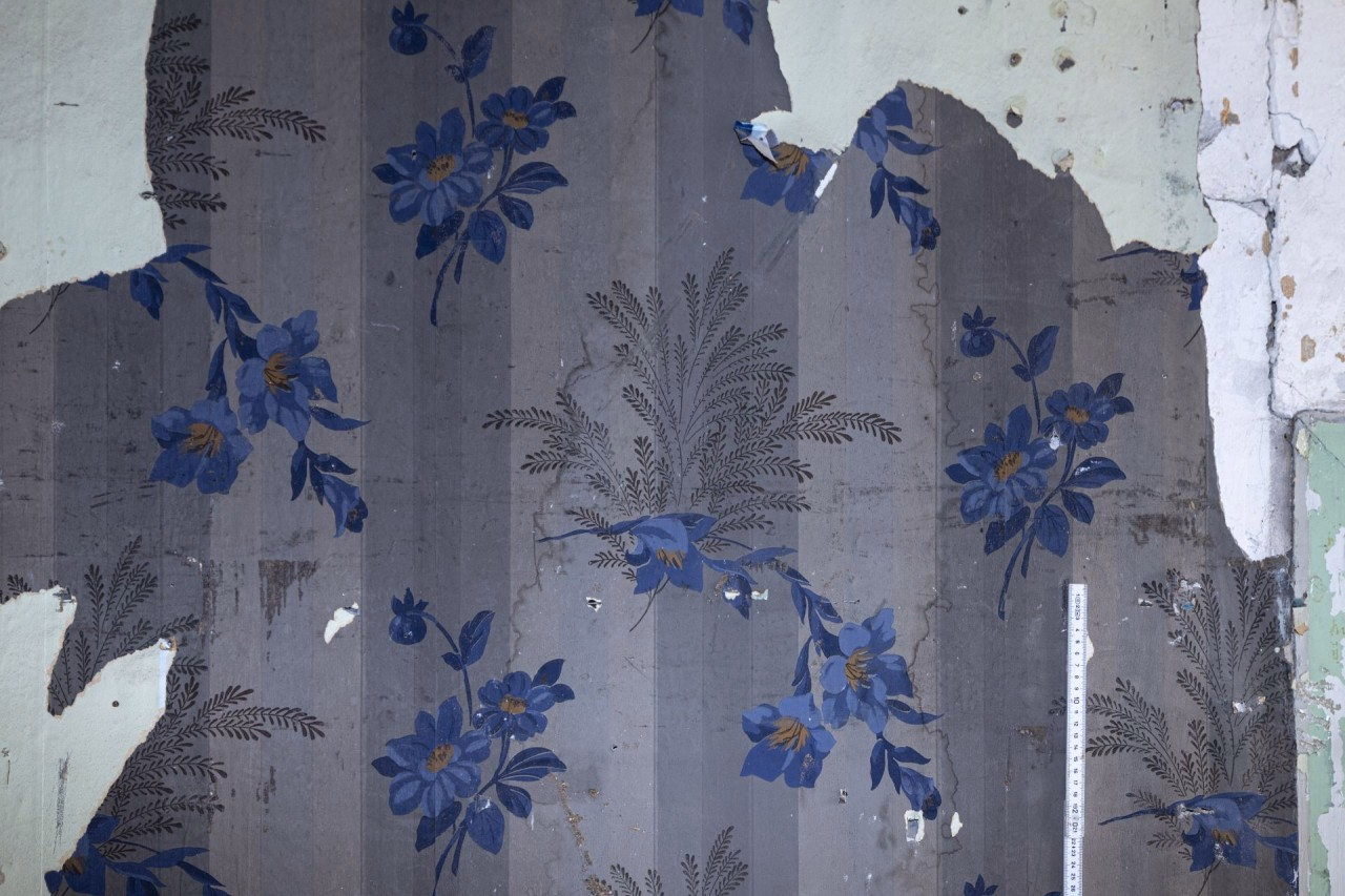 In Blautönen gestreifte Tapete mit blauen Blumen und braunen farnartigen Blättern dazwischen.
