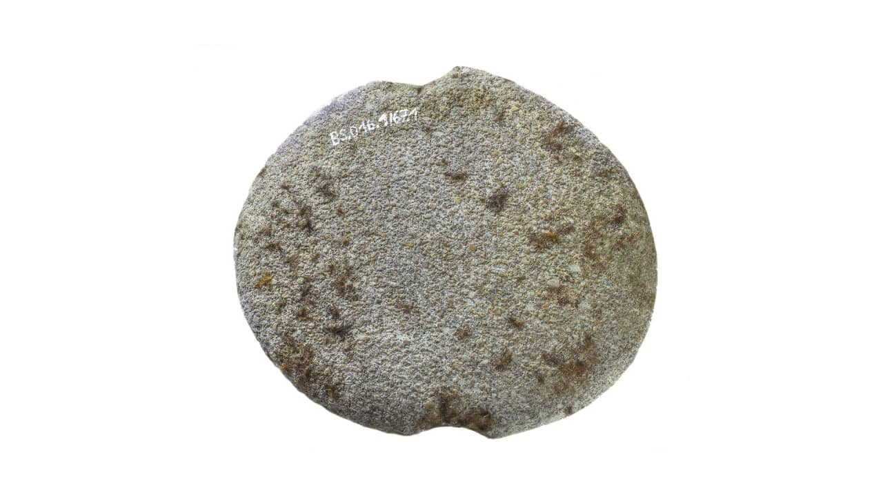 Ein ovaler flacher Kiesel mit beidseits zwei Einkerbungen. 