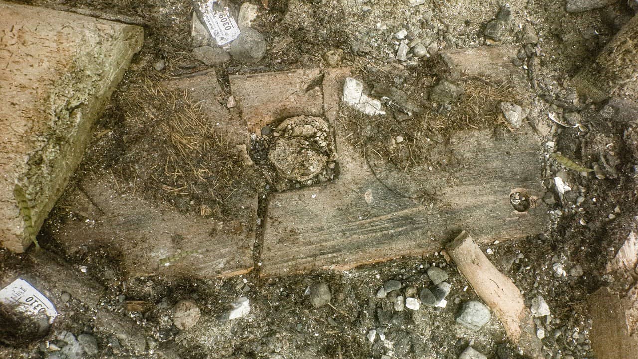 Ein viereckiges Holzobjekt mit Loch in der Mitte, im Seegrund liegend.