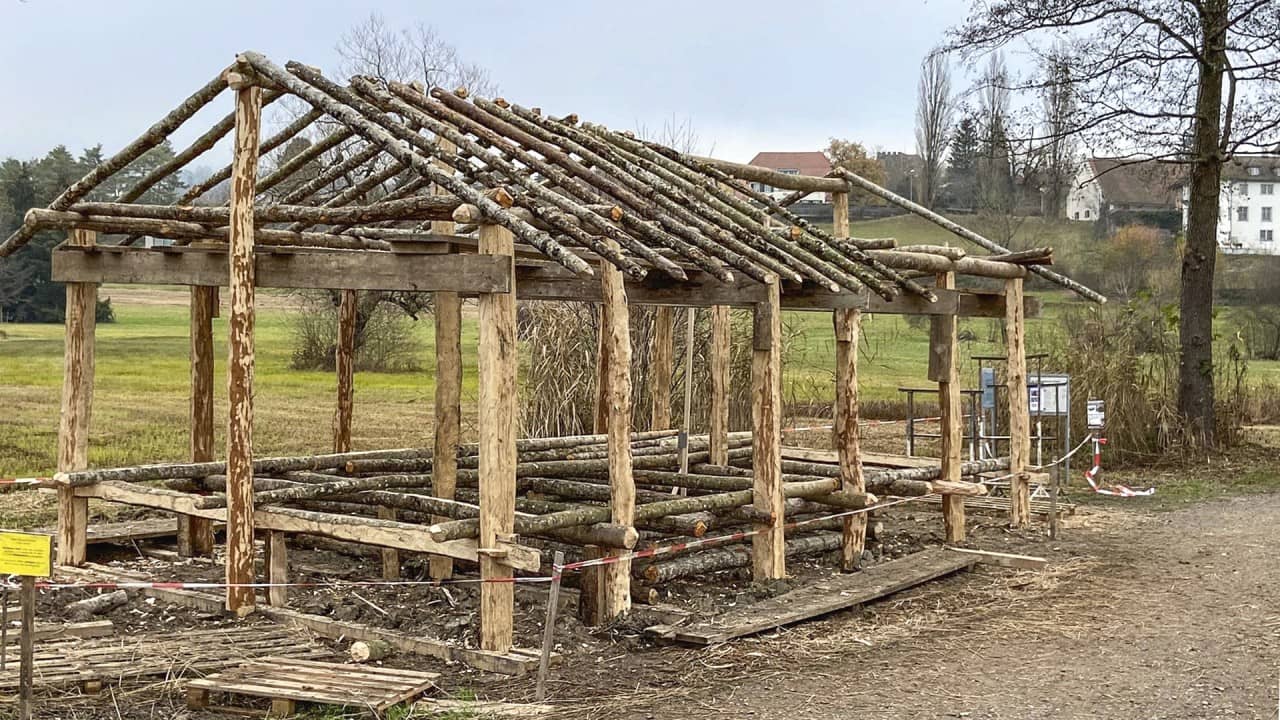 Hauspfosten und Dachbalken. 