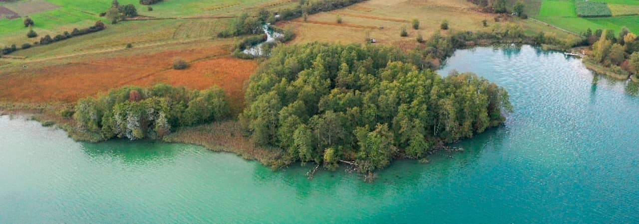 Luftbildaufnahme von der bewaldeten Halbinsel Riesi am Hallwilersee.