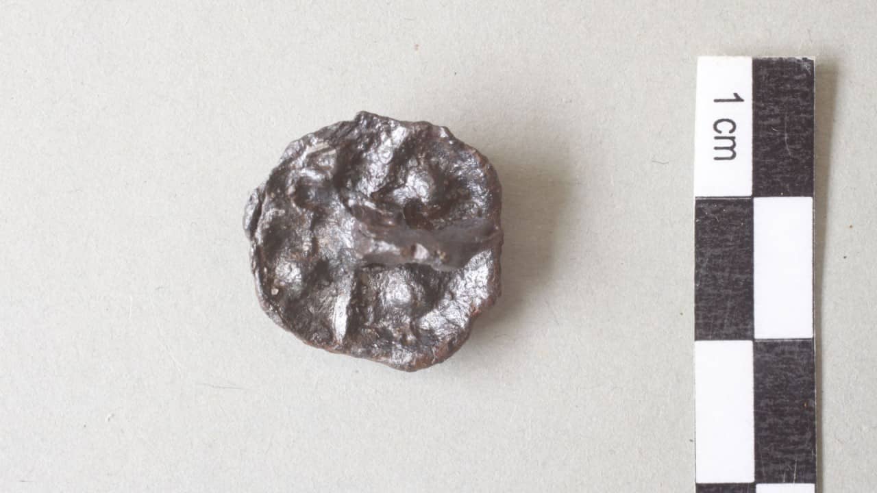 Kleiner runder Schuhnagel aus hellgrausilbernem Metall. Stift zeigt nach oben.