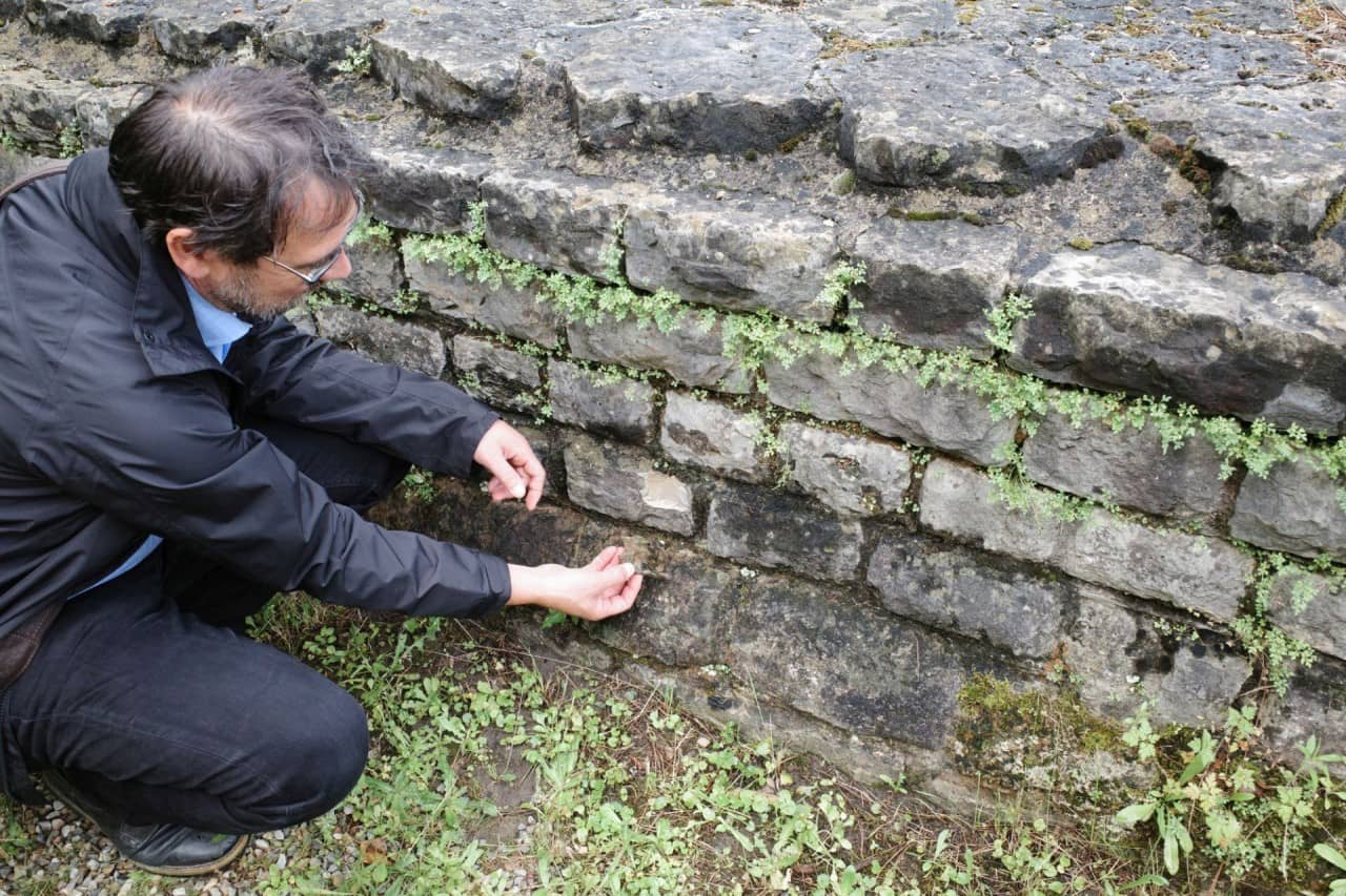 Mann hält abgebrochenes Mauerstückchen in der Hand.