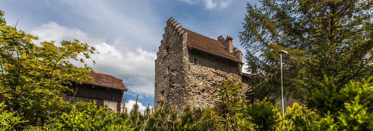 Blick auf die Jugendherberge Altenburg in Brugg inmitten von Bäumen.