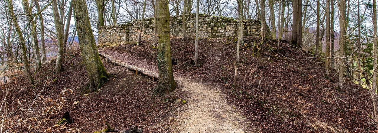 Schmaler Pfad zur Burgruine Horen.