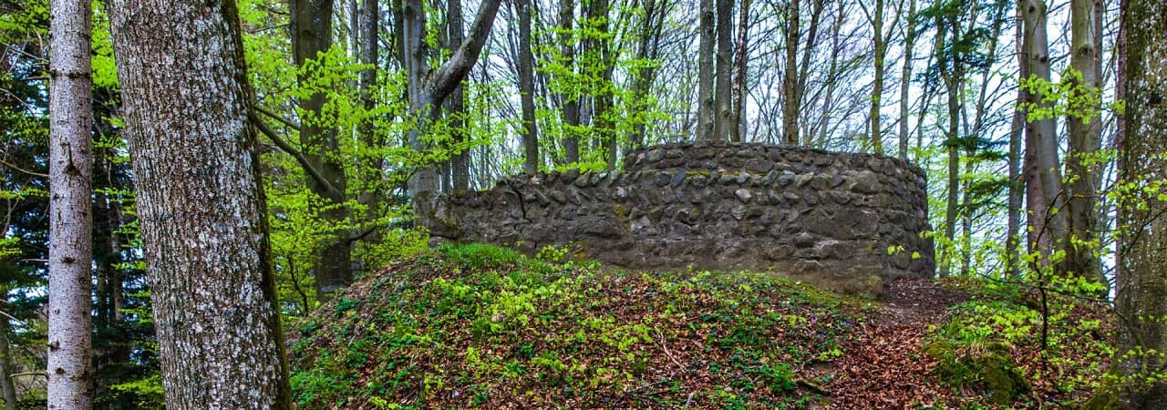 Burgruine inmitten von Bäumen.