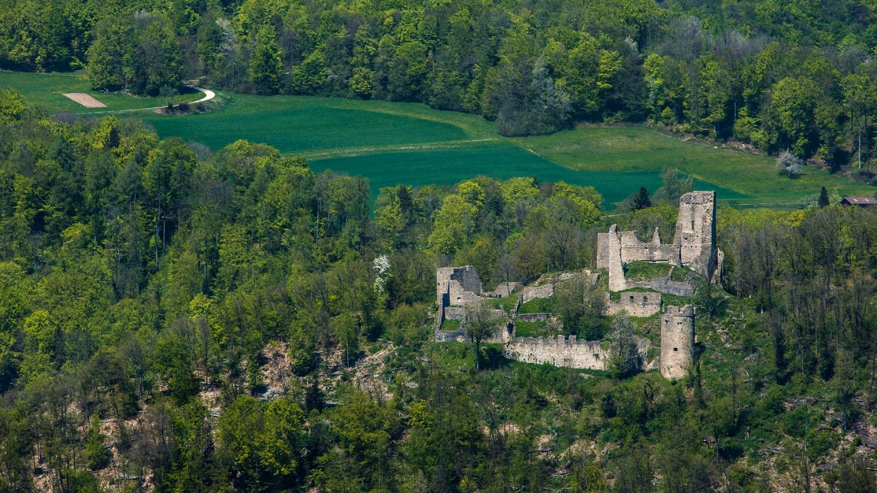 Burgruine Schenkenberg in Thalheim