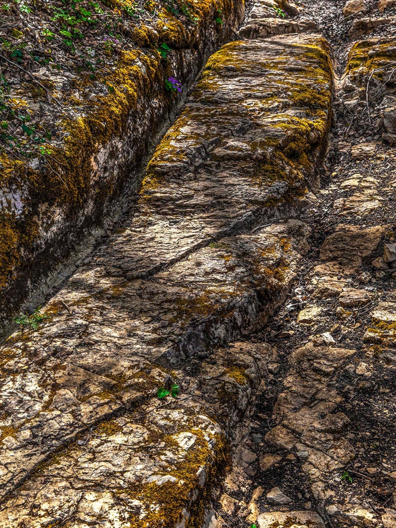 Detail der Römerstrasse am Bözbergpass mit Karrgeleisen.