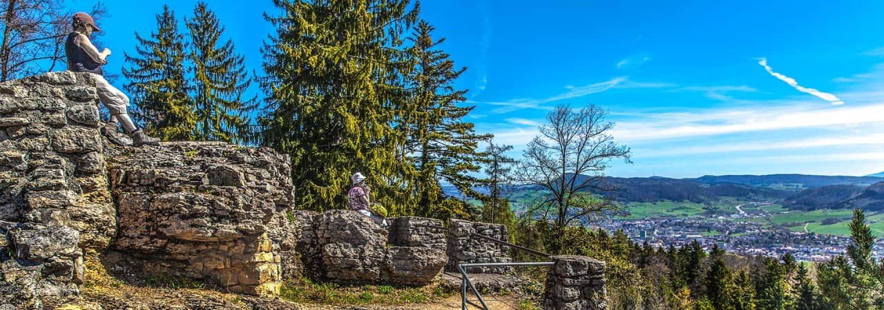 Blick durch den Wald hindurch auf die Burgruine Alt-Tierstein.