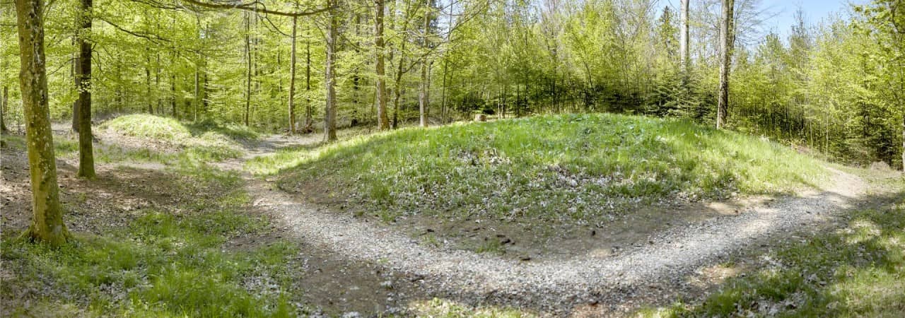 Blick auf einen der Grabhügel im Zigiholz.