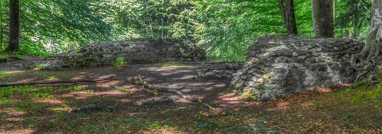 Blick auf die Burgruine von Alt Rued.
