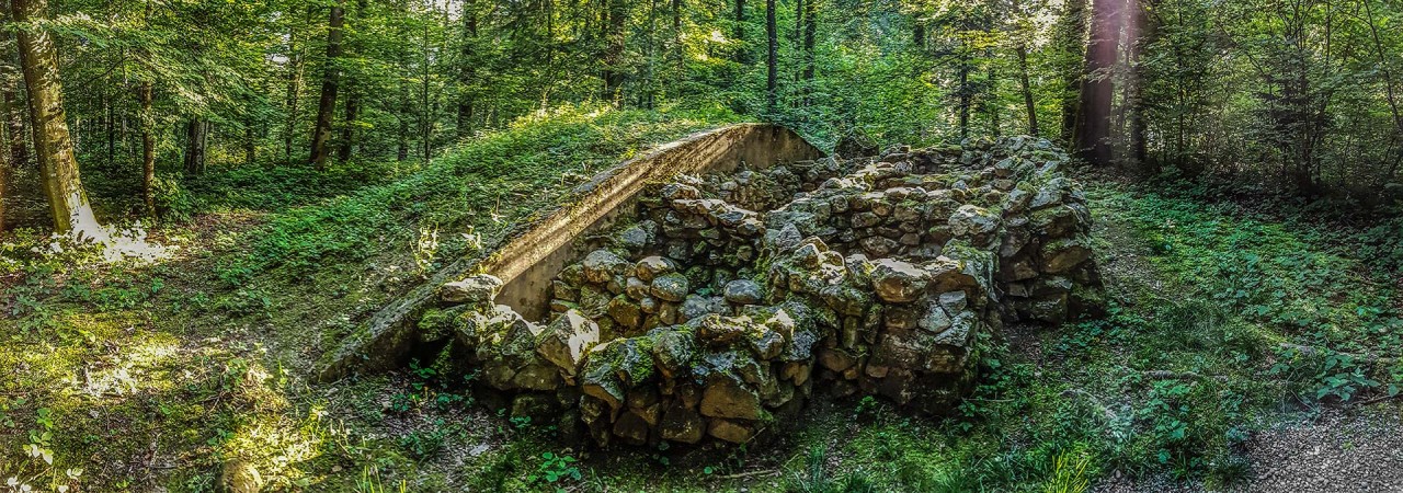 Blick auf den rekonstruierten Grabhügel im Fornholz.