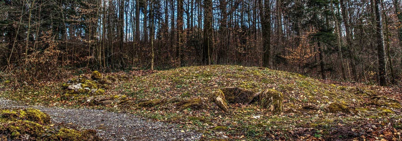 Blick auf den Grabhügel im Niederholz bei Seon.