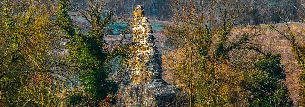 Blick auf die Burgruine Tegerfelden inmitten von Bäumen.