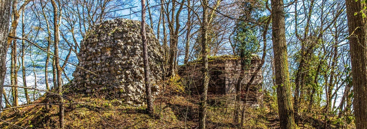 Blick durch den lichten Wald auf die Burgruine Besserstein.