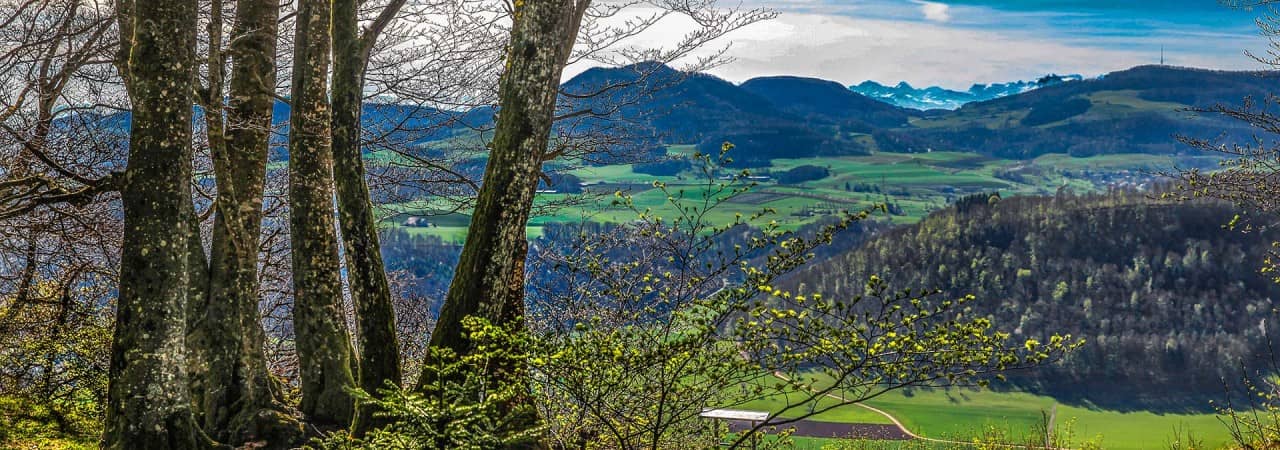 Aussicht von der Ruine Alt-Homburg ins Tal.
