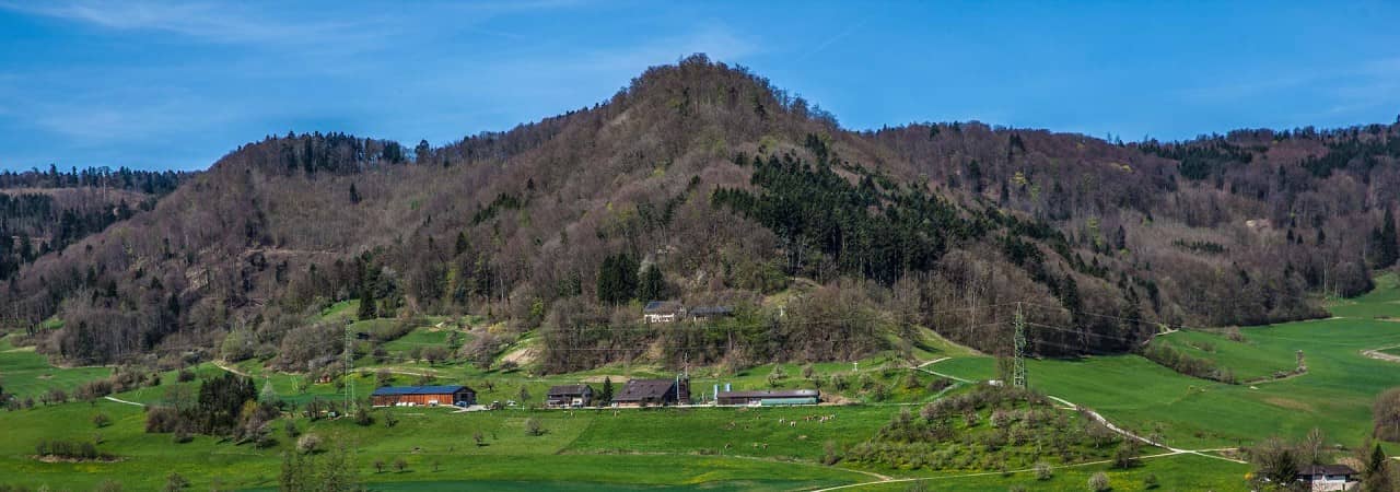 Blick aufs Wittnauer Horn.