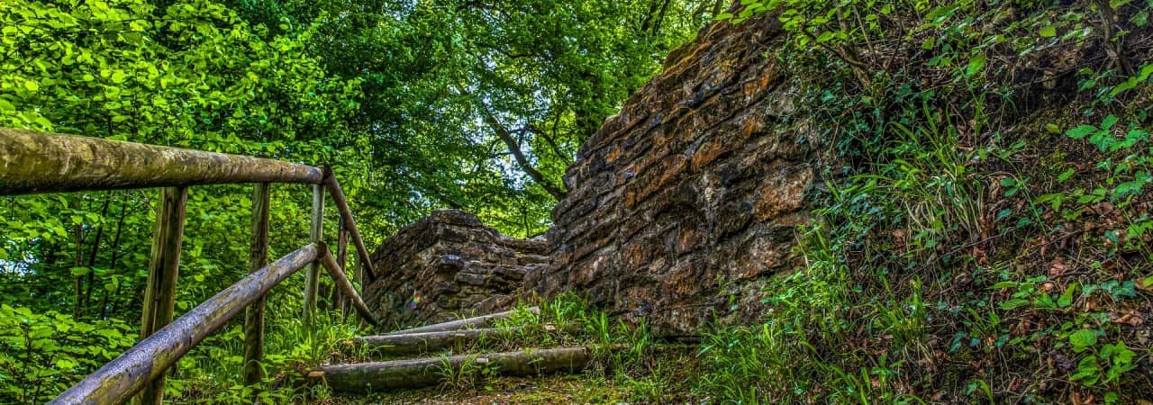 Blick auf die Burgruine im Wald.