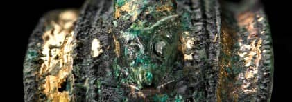 Detailansicht des Siebenschläfers auf dem Bügel der Fibel.