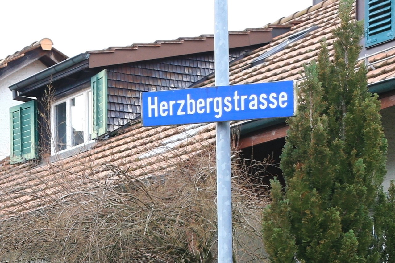 Farbiges Bild. Im Vordergrund rechts ein Kandelaber mit Strassenschild Herzbergstrasse - im Hintergrund verschiedene Dächer mit Gauben – ganz rechts ein hoher, schlanker Nadelbaum – vom Nadelbaum bis zum linken Bildrand Strauch, noch ohne Blätter – am unteren Bildrand ansatzweise Fenster und Türen sichtbar.