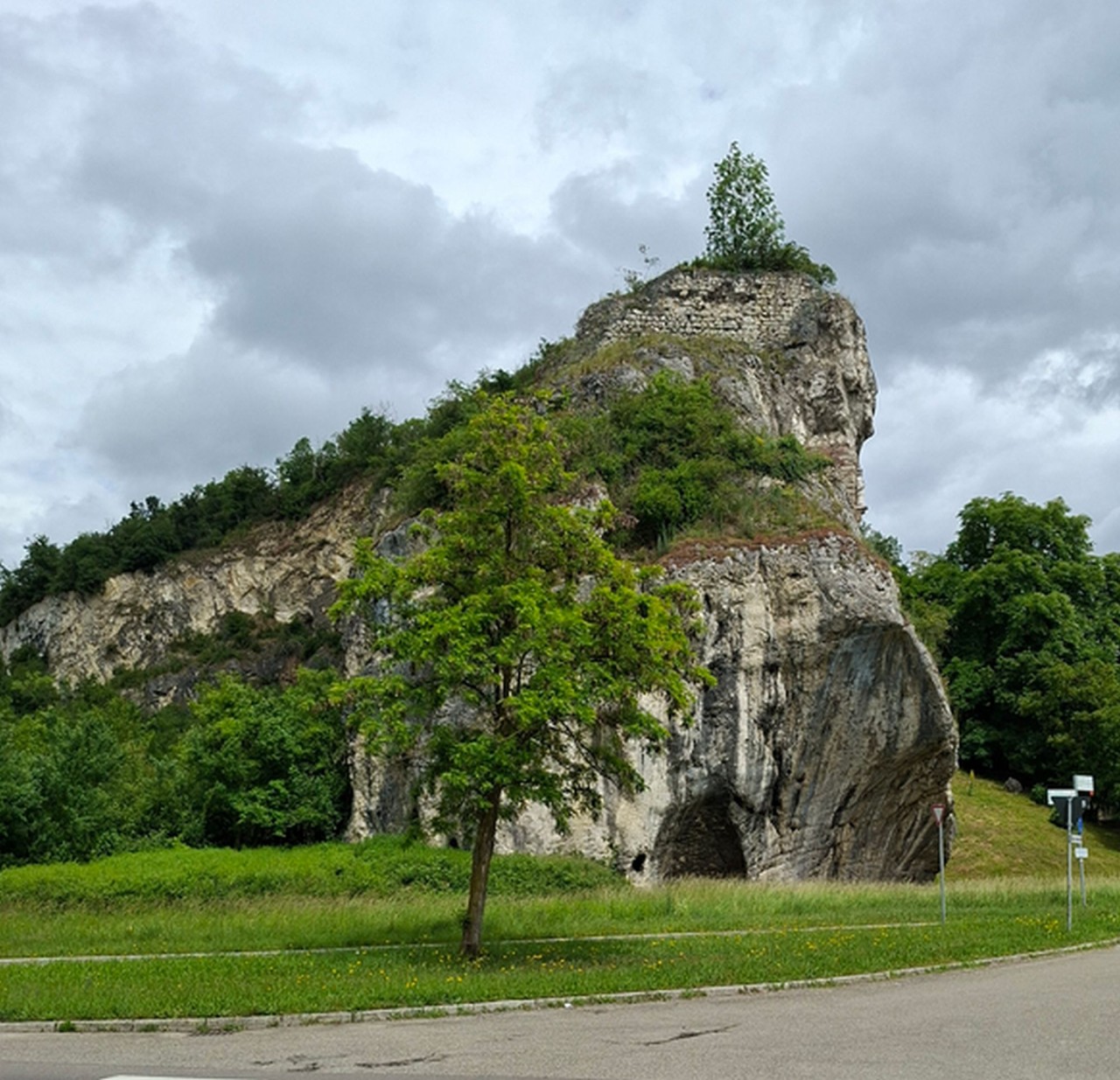 Felsformation mit gras- und baumbewachsenen Stellen, daneben ein kleiner Baum in einer grünen Wiese vor bewölktem Himmel. Links und rechts der Formation befinden sich weitere Bäume.