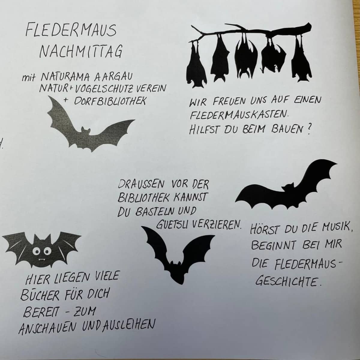 Infoblatt mit Abbildungen von Fledermäusen und Kurztexten zu einzelnen Programmpunkten des Nachmittags.