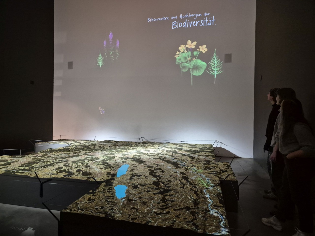 Visualisierung der zukünftig auf dem Relief dargestellten Klimakarte