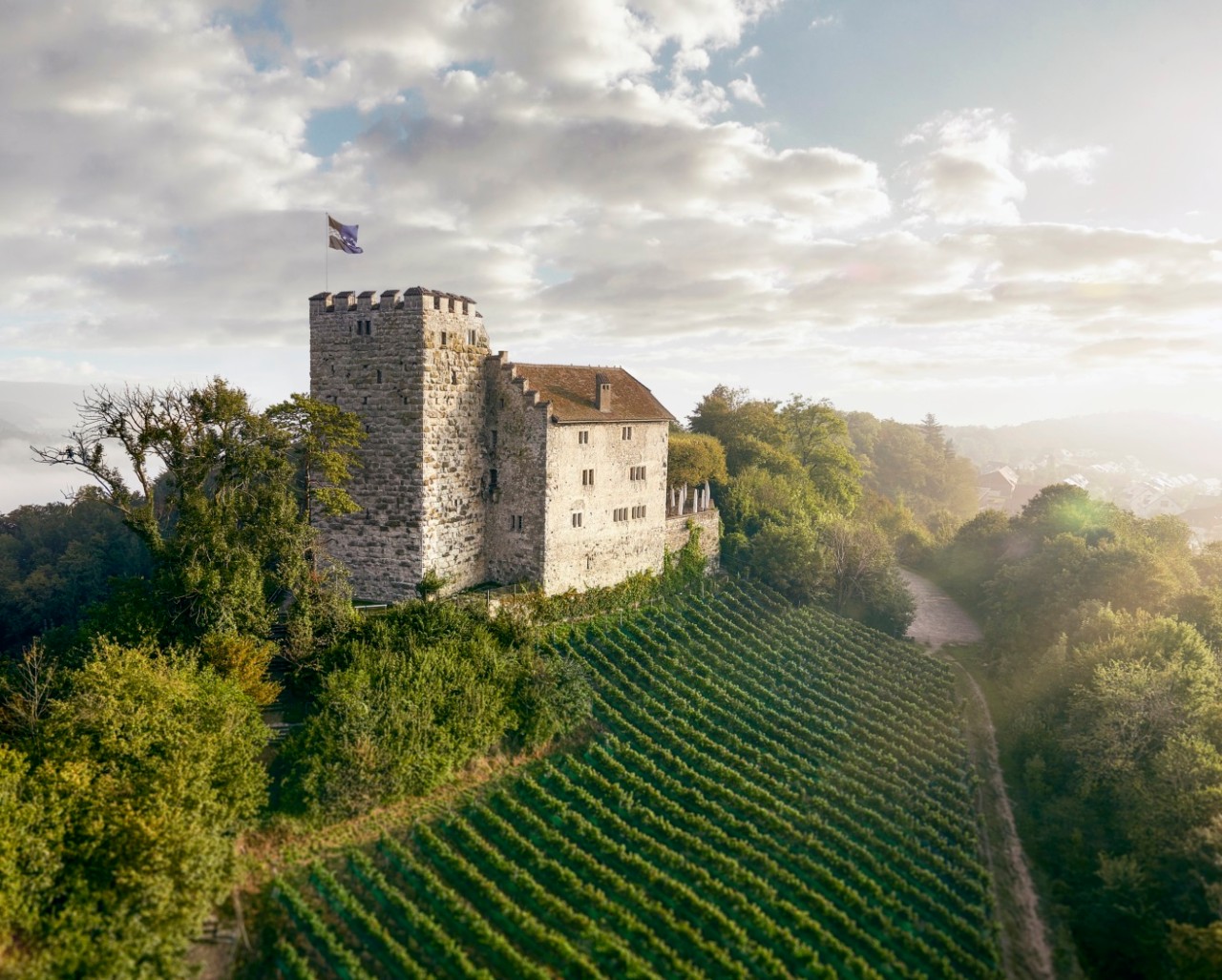 Aussenansicht Schloss Habsburg