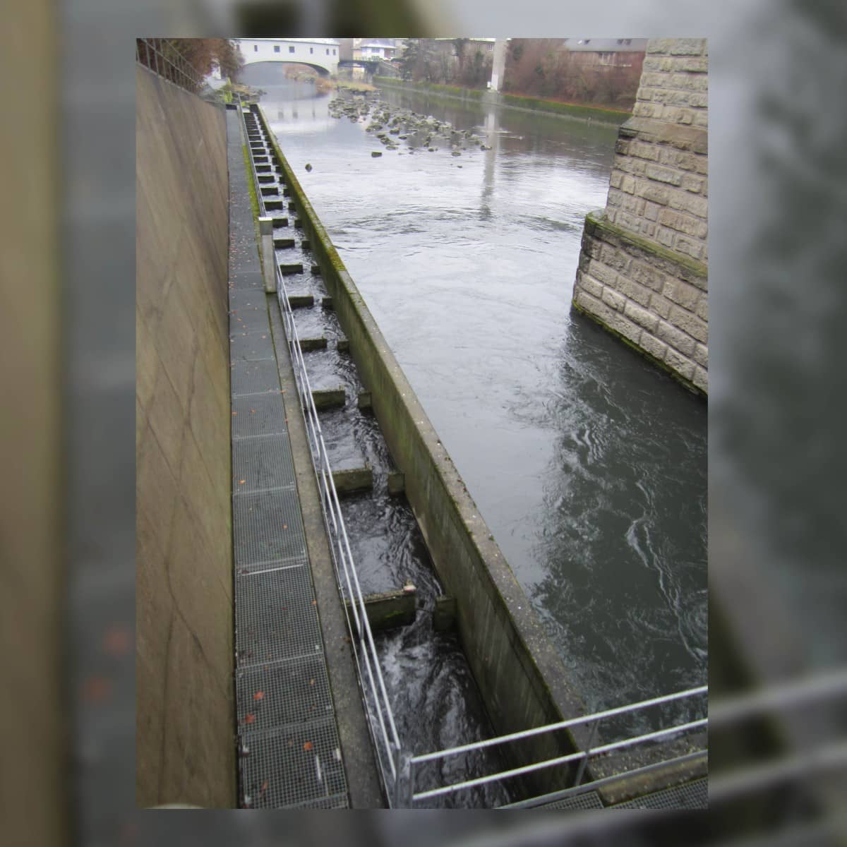 Blick auf die Limmat vom ewz Wettingen aus.