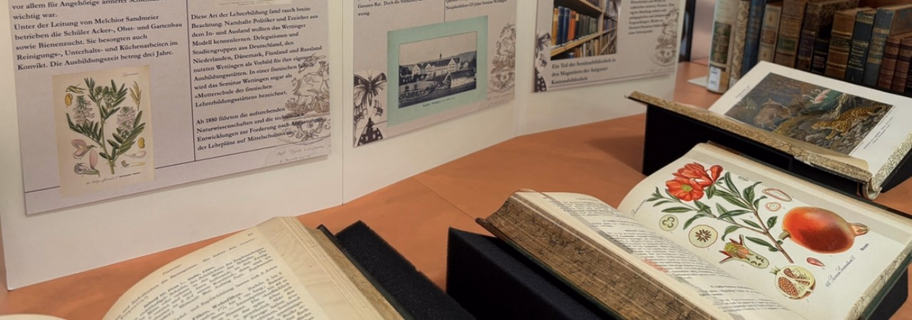 Blick schräg in eine geöffnete Vitrine auf gestaltete Stellwand mit Text und Bild und aufgeschlagene, farbig illustrierte Bücher.