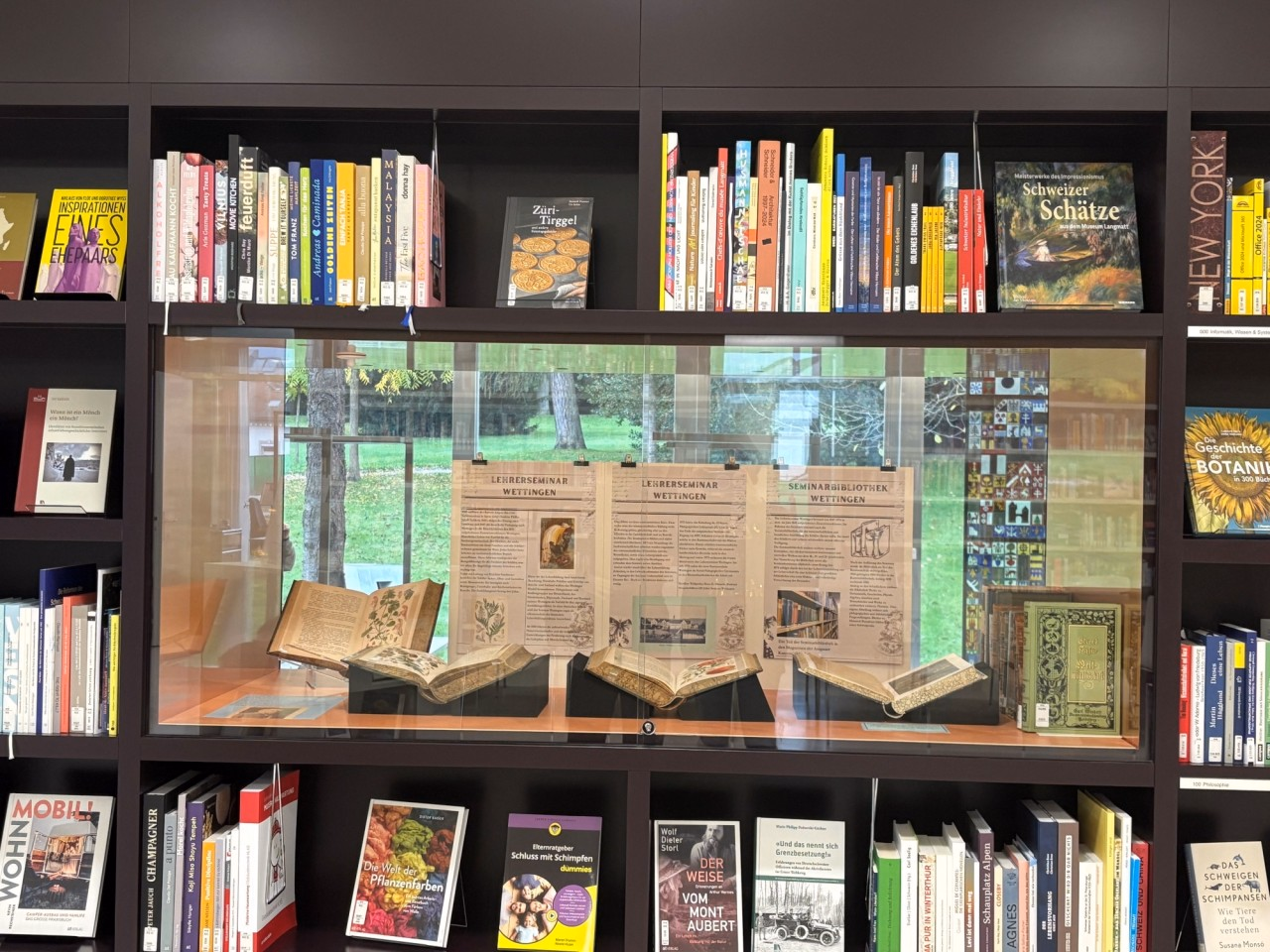 Vitrine mit ausgestellten Büchern und Plakaten in einem Bücherregal von einer Bibliothek.
