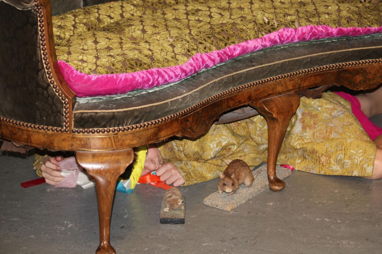 Schüler liegt unter Sofa mit ausgestopften Ratten