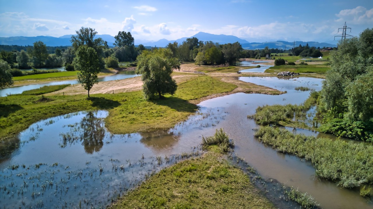 Weitläufige Flusslandschaft mit verzweigten Wasserarmen, Wiesen, Bäumen und Bergen am Horizont bei blauem Himmel.