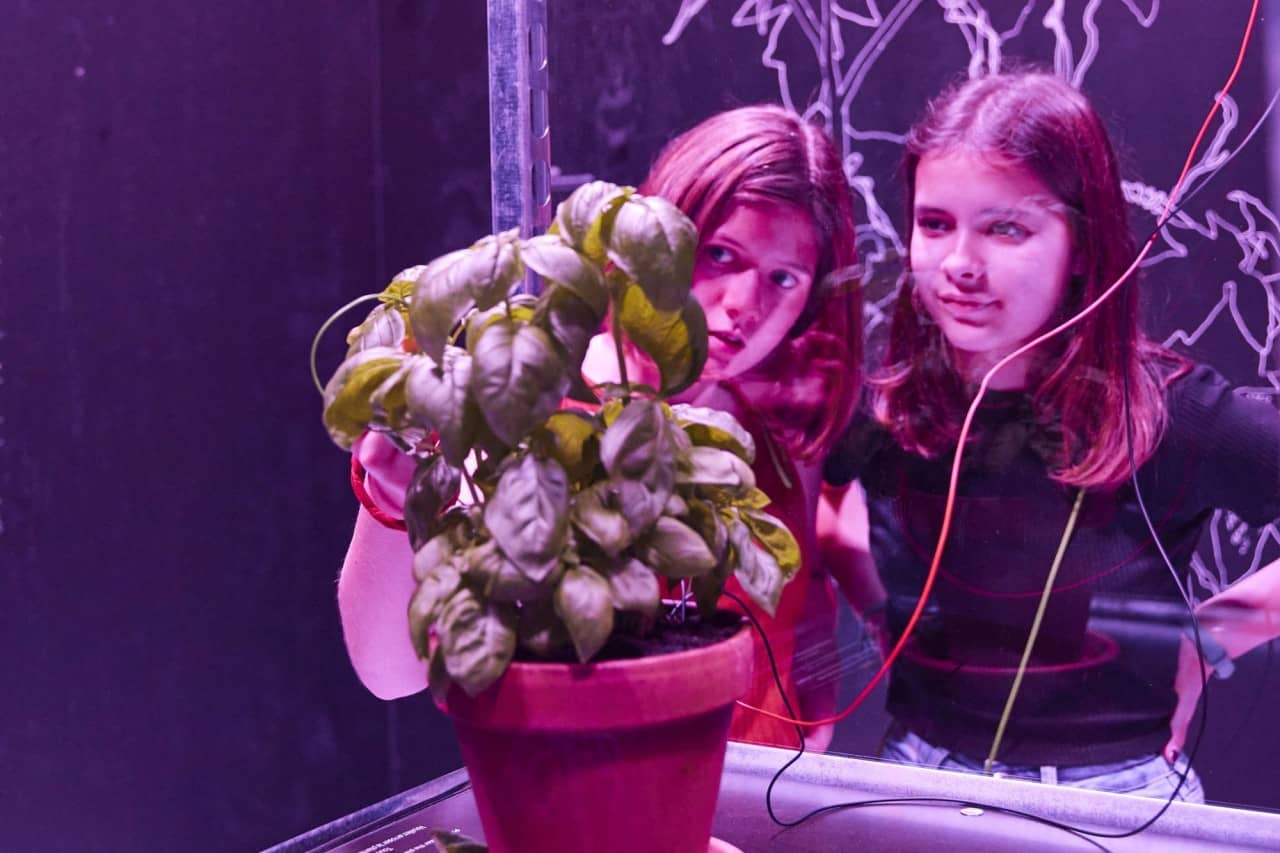 Zwei Schülerinnen betrachten eine Pflanze.
