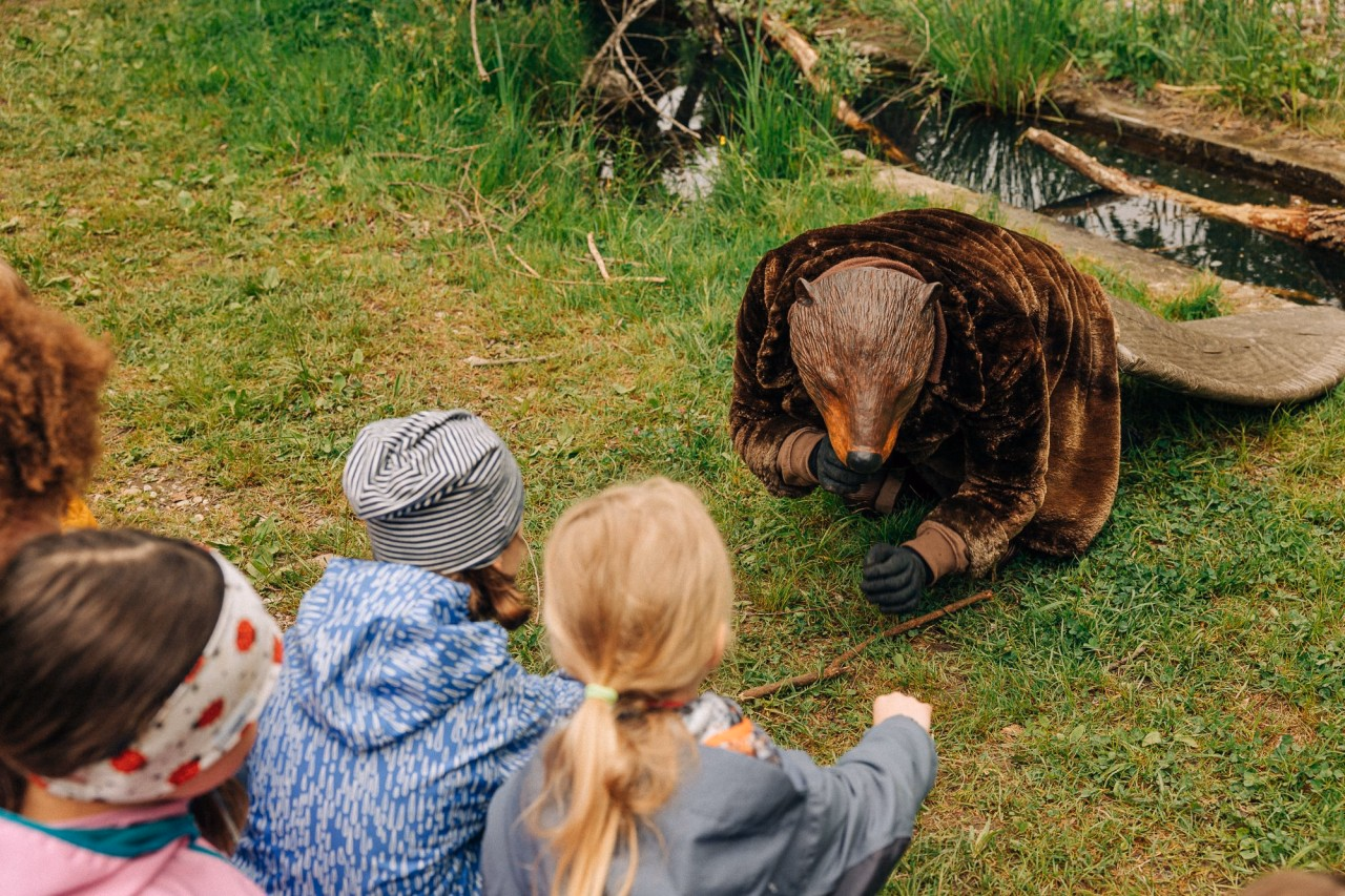 Kinder sitzen am Ufer eines Bachs und beobachten eine Person im Biberkostüm auf der Wiese.